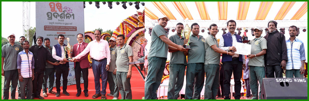 SAI International School Reaffirms Its Commitment to Sustainability with Green School Award